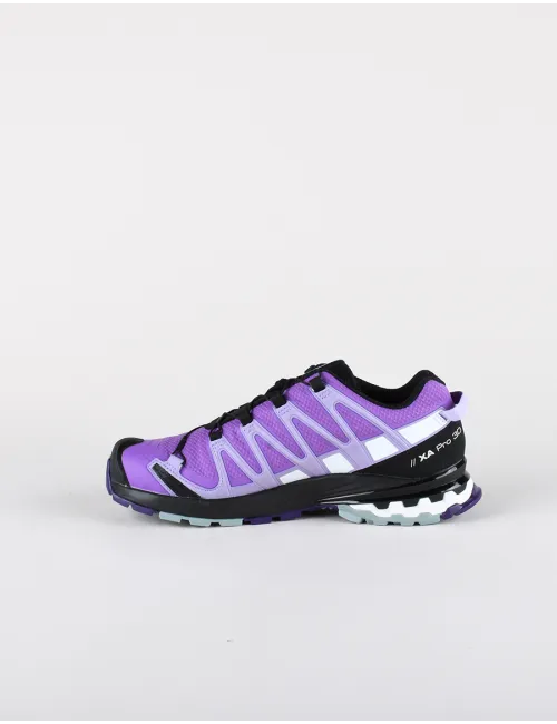 SALOMON XA PRO 3D V8 GTX W