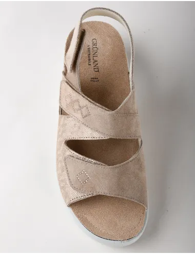 GRUNLAND CE0502